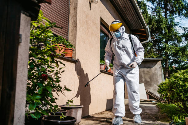 Best Commercial Pest Control Services  in Irving, TX