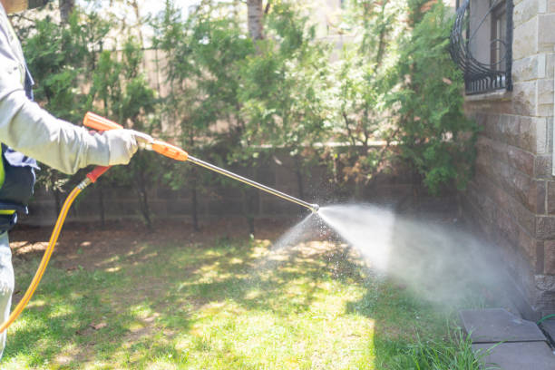 Best Rodent Control Near Me  in Irving, TX