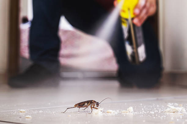 Best Wildlife Control Services  in Irving, TX